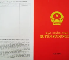 Cắt giảm giấy tờ hành chính: Những loại giấy tờ không còn phải nộp khi sang tên đất