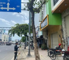 Chi phí đo đạc đất tranh chấp Tp.HCM chỉ từ 5 triệu