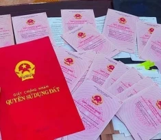 Dịch vụ sang tên nhà đất trọn gói, uy tín