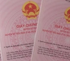 Quy định về cấp đổi Sổ đỏ cũ, bìa đỏ, bìa hồng cũ sang mẫu Giấy chứng nhận mới