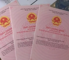 Hợp đồng mua bán căn hộ chung cư chưa có sổ hồng: Thủ tục công chứng và xác nhận chủ đầu tư