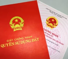 Văn bản phân chia di sản thừa kế thế vị và quy định áp dụng