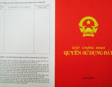 Cắt giảm giấy tờ hành chính: Những loại giấy tờ không còn phải nộp khi sang tên đất