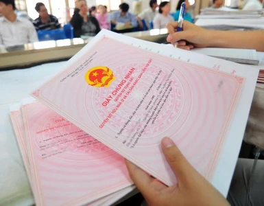 Hợp đồng dịch vụ làm sổ đỏ: Những nội dung bắt buộc cần nắm rõ trước khi ký kết