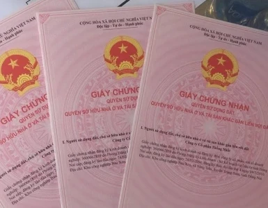 Hợp đồng mua bán căn hộ chung cư chưa có sổ hồng: Thủ tục công chứng và xác nhận chủ đầu tư