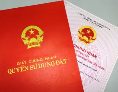 Văn bản phân chia di sản thừa kế thế vị và quy định áp dụng