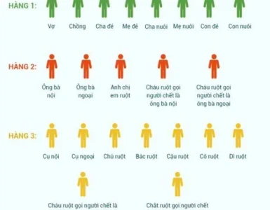 Sơ yếu lý lịch phân chia di sản thừa kế và cách kê khai