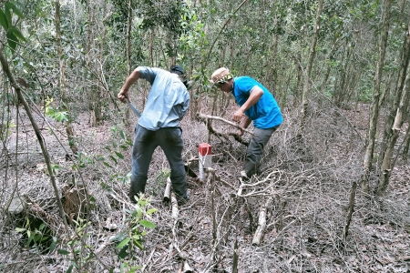 Đo Vẽ Hiện Trạng Định Vị Cắm Ranh Mốc Phường Hiệp Bình, TP.HCM