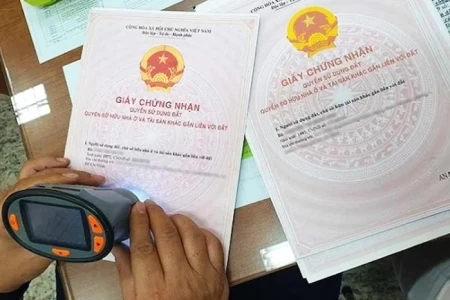 Công ty dịch vụ pháp lý nhà đất uy tín tại TPHCM