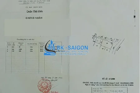 Dịch Vụ Làm Sổ Đỏ Quận 7, TP.HCM Uy Tín – Nhanh Chóng, Trọn Gói