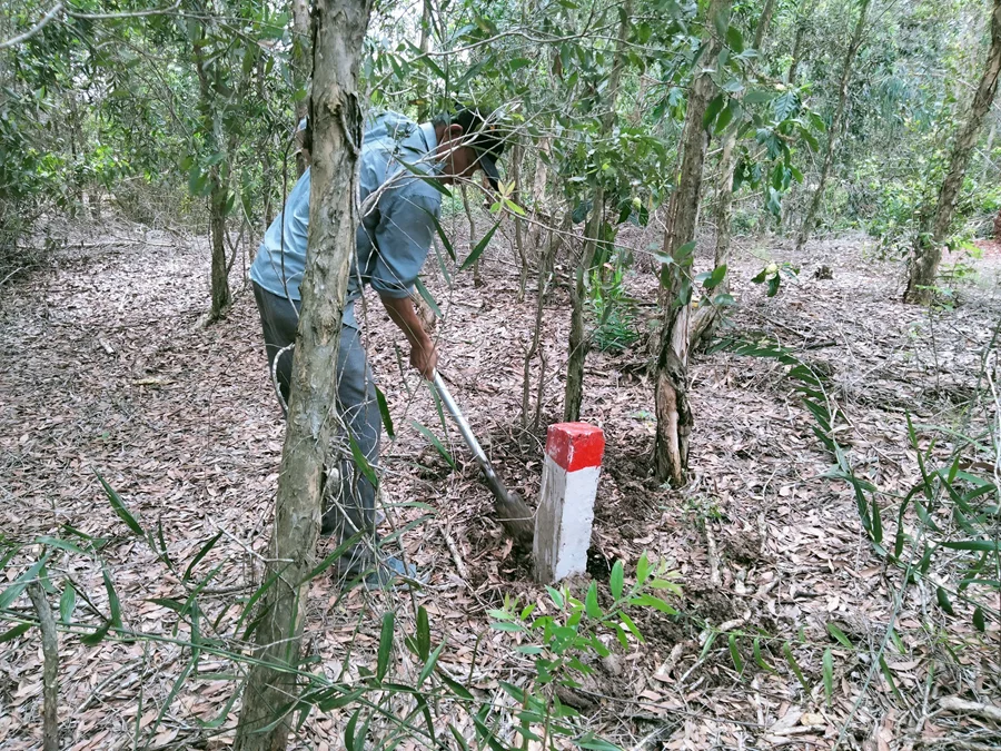 Chi Phí Cắm Mốc Bao Nhiêu Giá Cắm Mốc Ranh Đất Mới Nhất