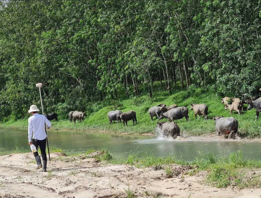 Phí đo đạc tách thửa đất TP. HCM